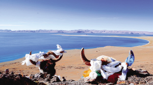 步步惊心 穿越羌塘无人区